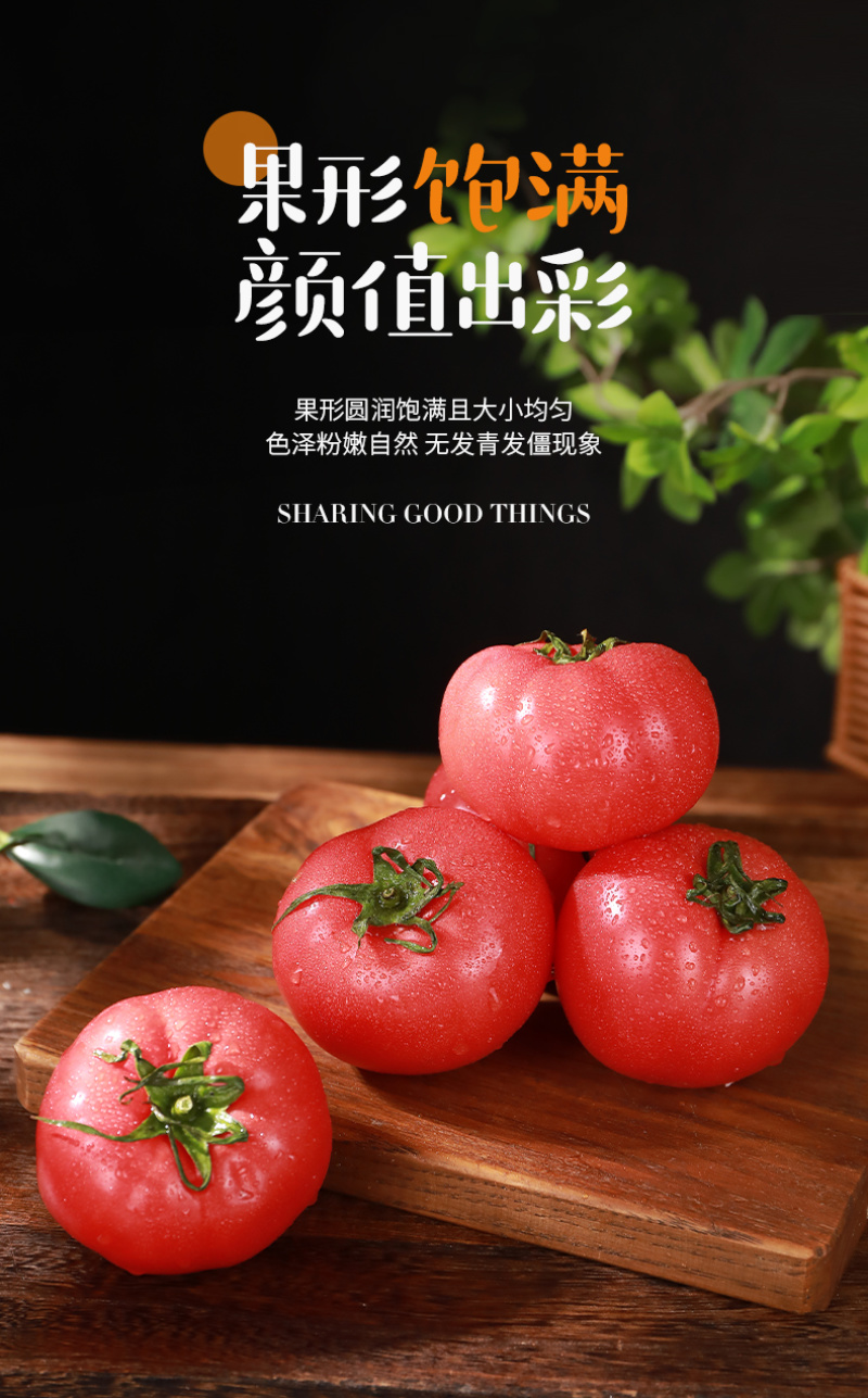 泾阳普罗旺斯西红柿🍅沙瓤爆汁酸甜爽口地标认证果型饱满