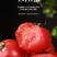 泾阳普罗旺斯西红柿🍅沙瓤爆汁酸甜爽口地标认证果型饱满