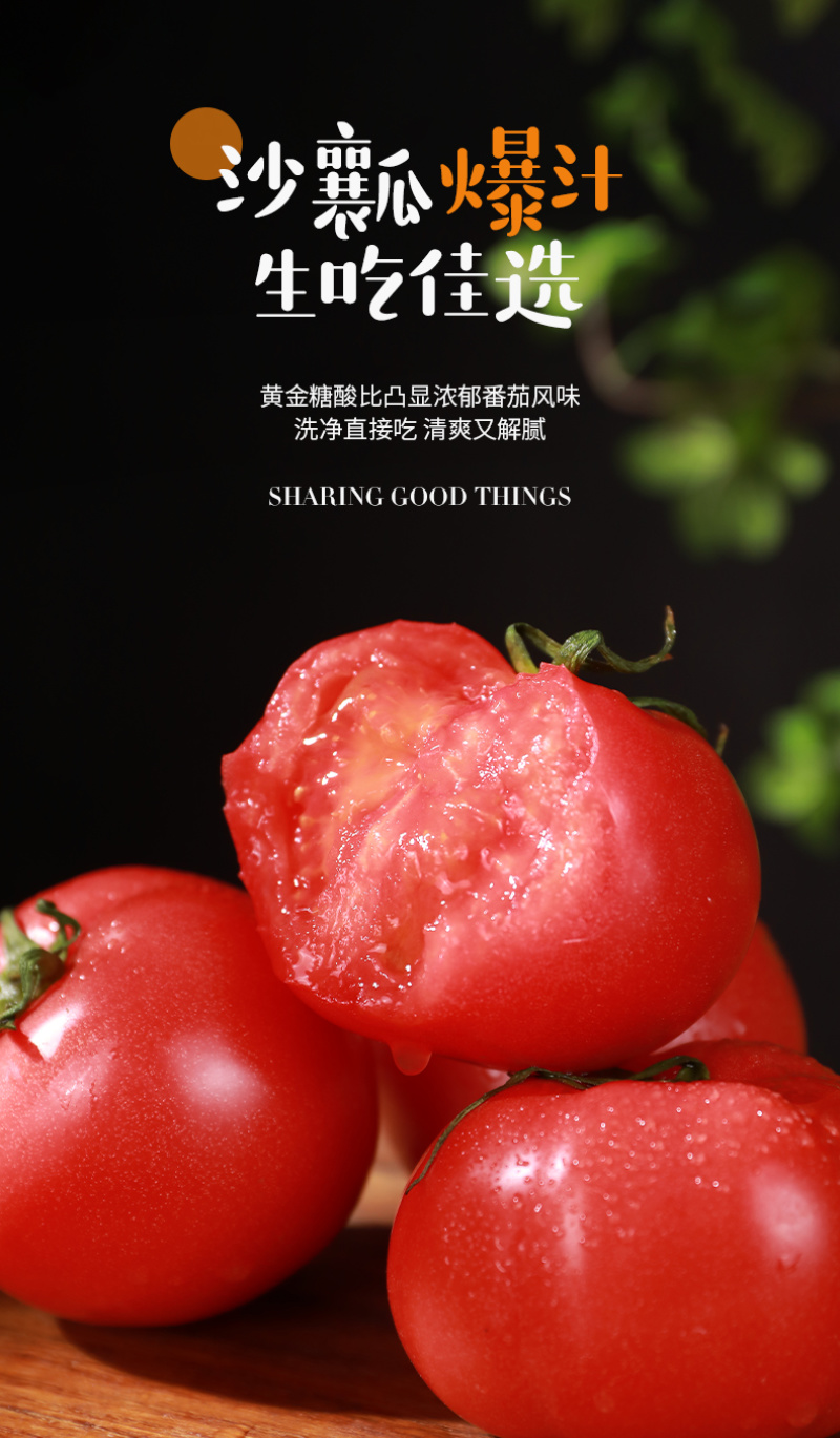 泾阳普罗旺斯西红柿🍅沙瓤爆汁酸甜爽口地标认证果型饱满