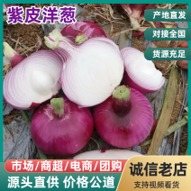 云南紫皮洋葱，产地直发，一手货源，品质保障，量大从优