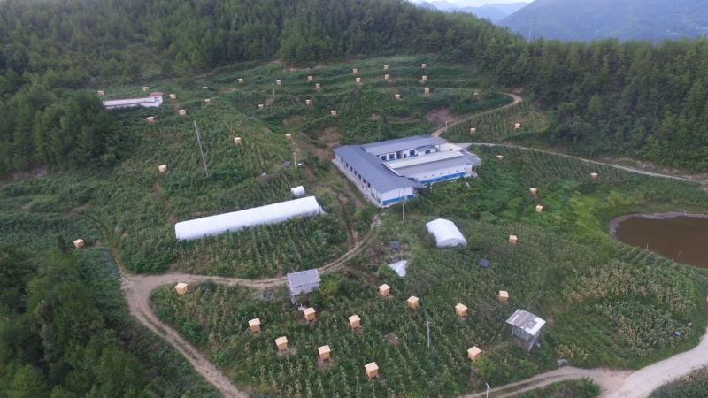 万源旧院黑鸡麻辣鸡块，可对接各大电商商超等，量大从优