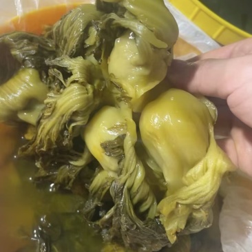 【好评超多】安徽现腌荠菜大量供应口感每位质量保证