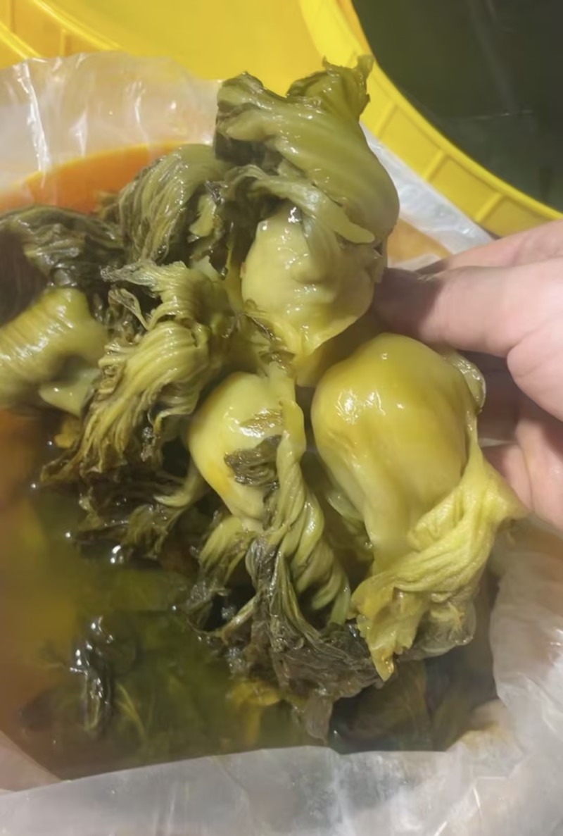 【好评超多】安徽现腌荠菜大量供应口感每位质量保证
