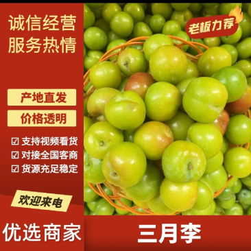 三月李元江三月李三华李大量上市一件代发直接来电