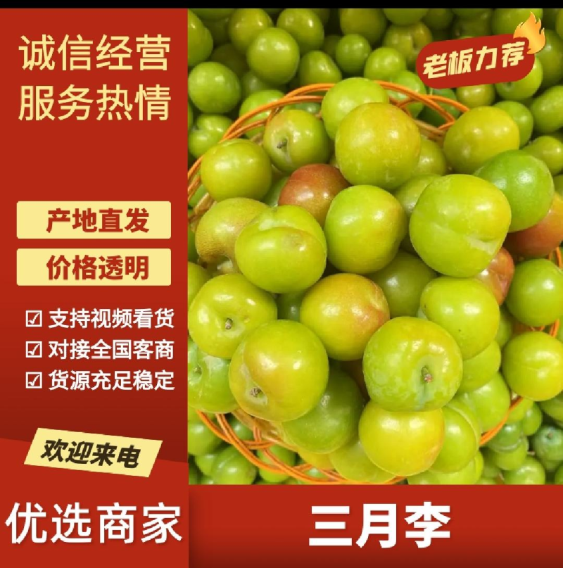 三月李元江三月李三华李大量上市一件代发直接来电
