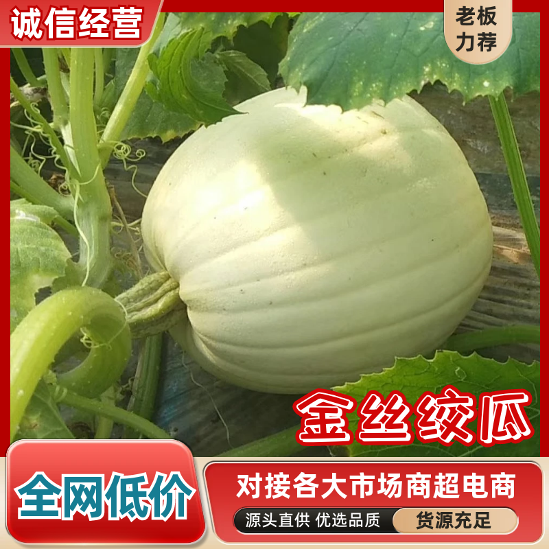 金丝搅瓜新鲜上市，货源充足，品质保障，价格美丽