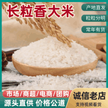 【热销】长粒香大米5斤装精品新米真空袋包邮一件代发