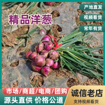 洋葱，产地直发，量大价优，保质保量，欢迎各位老板咨询