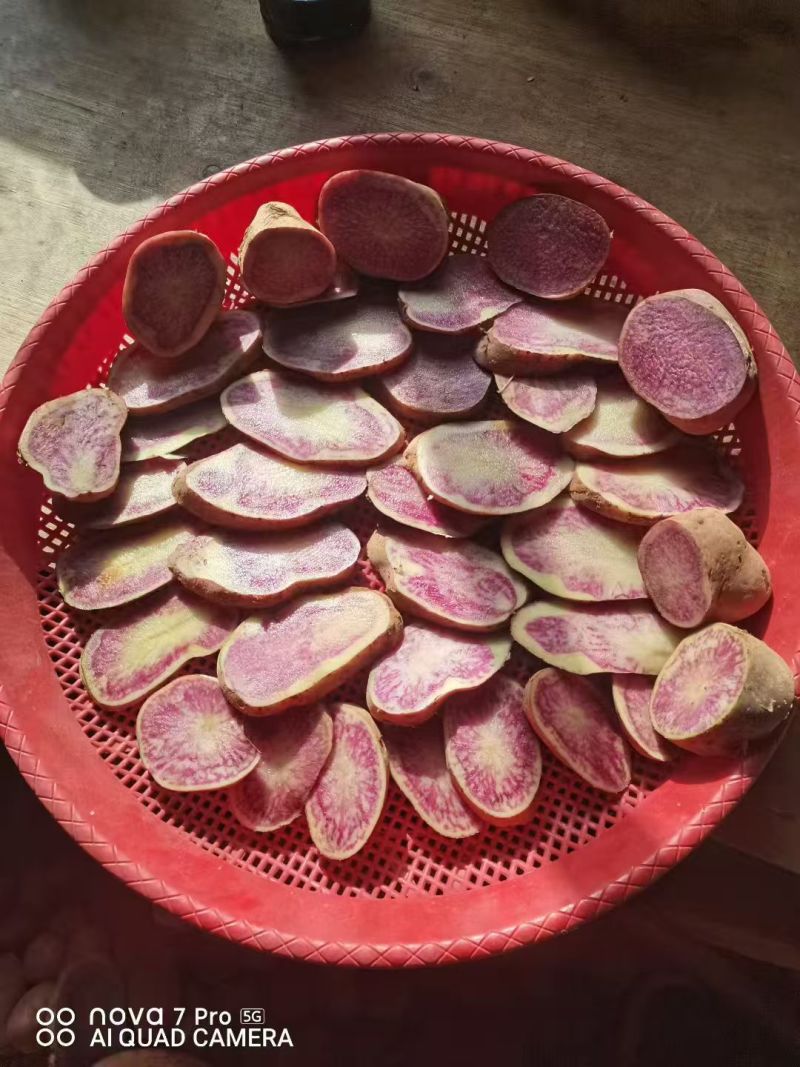 特菜七彩土豆署形好规格全承接酒店餐饮食堂可线上交易货量大
