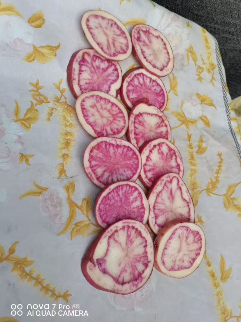 特菜七彩土豆署形好规格全承接酒店餐饮食堂可线上交易货量大