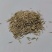 披碱草种子