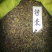 柠条种子