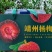 杨梅，精品杨梅，味美价廉，量大从优欢迎老板选购