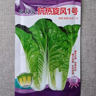 夏炎炎抗热旋风1号快菜小白菜种子苗菜长势快耐热耐湿杂交