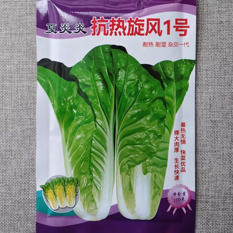 夏炎炎抗热旋风1号快菜小白菜种子苗菜长势快耐热耐湿杂交