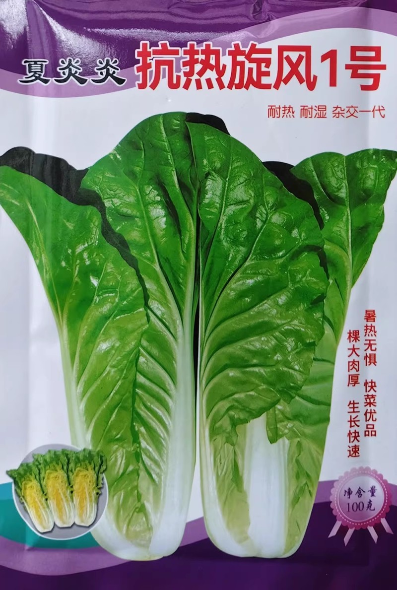 夏炎炎抗热旋风1号快菜小白菜种子苗菜长势快耐热耐湿杂交