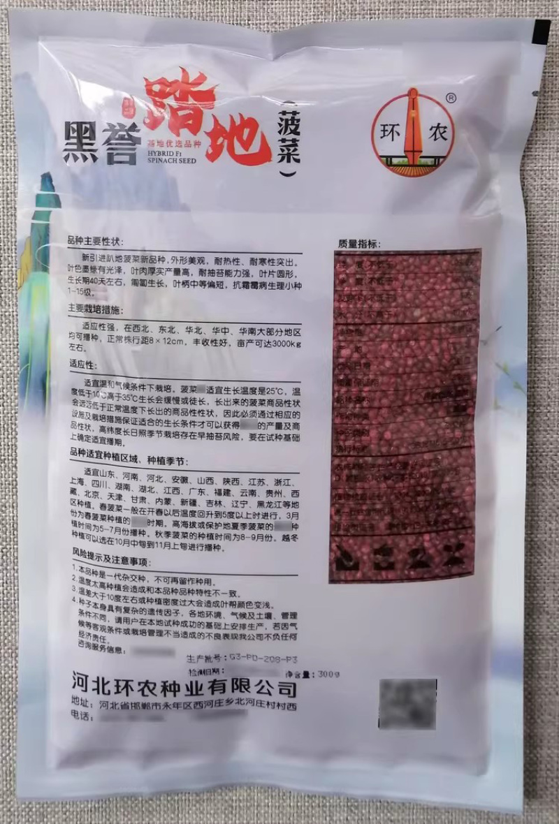 黑誉塌地菠菜种子趴地菠菜种籽春秋冬季耐寒蔬菜越冬波菠菜种