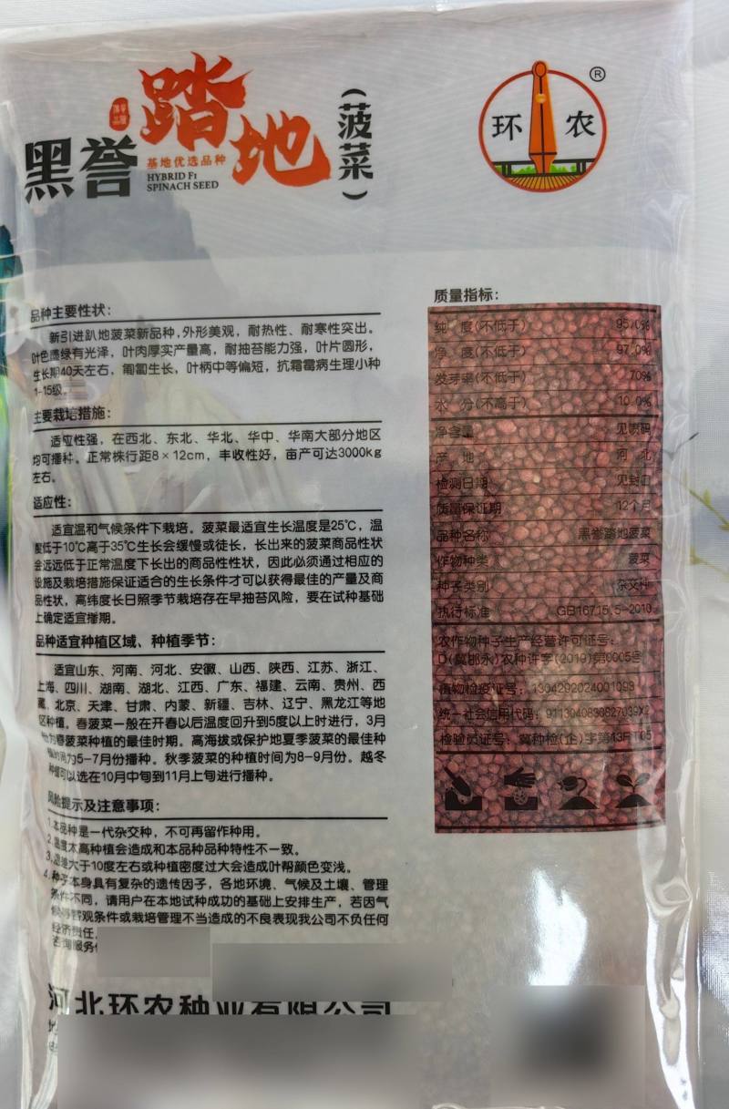 黑誉塌地菠菜种子趴地菠菜种籽春秋冬季耐寒蔬菜越冬波菠菜种