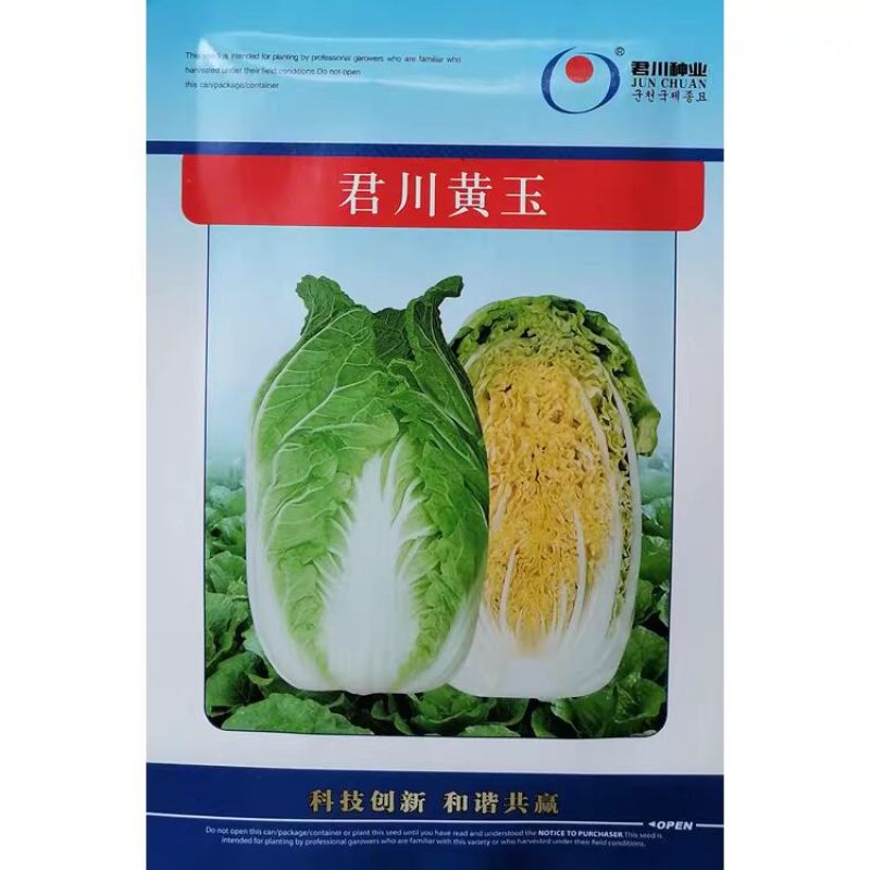 君川黄玉黄心娃娃菜种子黄心白菜种籽早熟耐抽苔秋冬大田种植