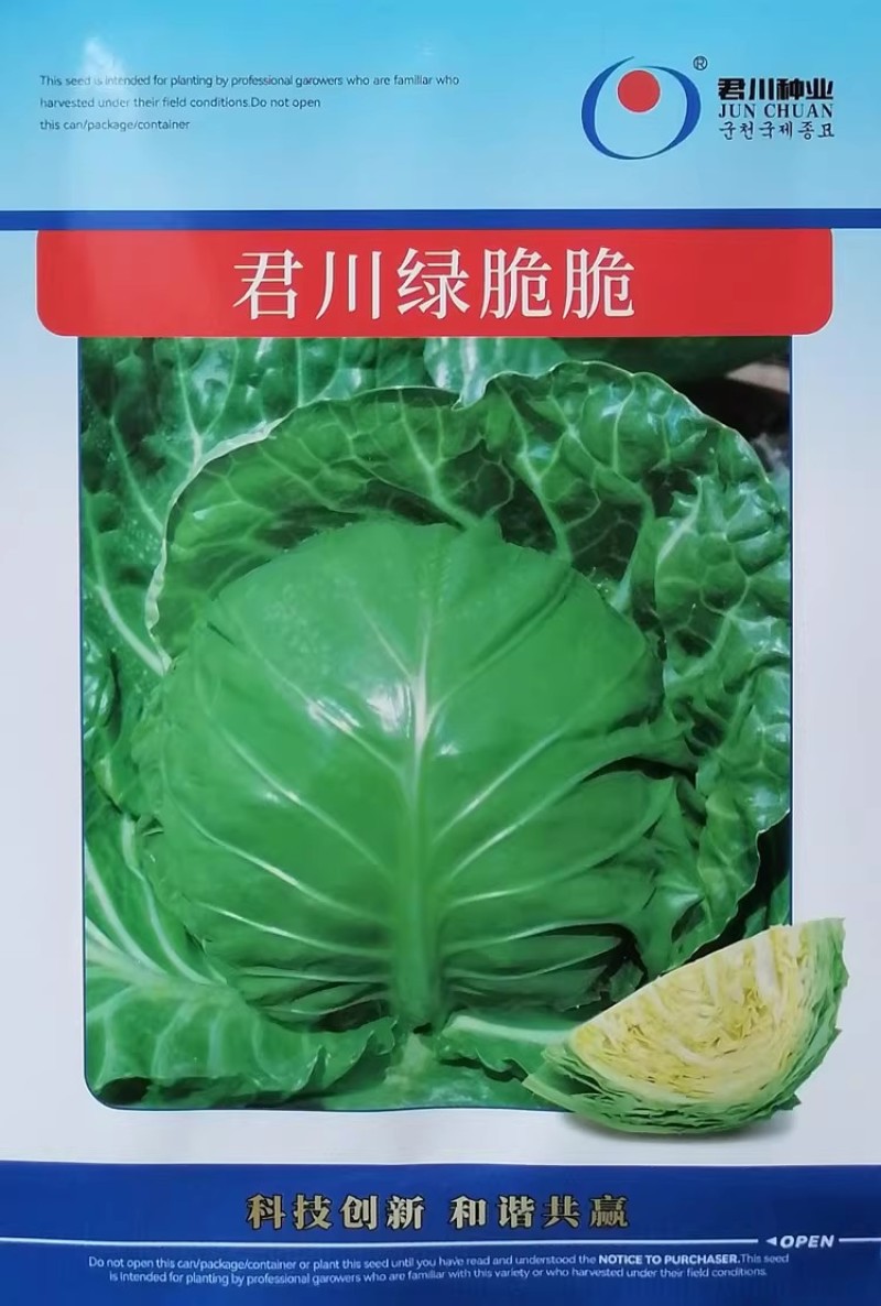 君川绿脆脆软菜甘蓝种子口感甜脆松软抗病软绿耐裂包菜卷心菜