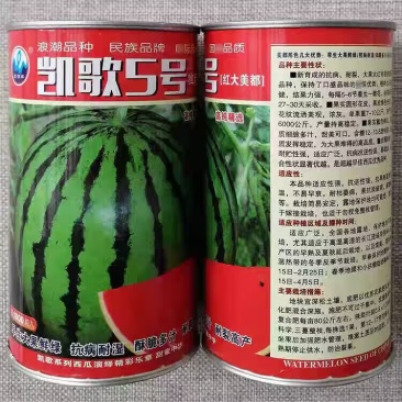 浪潮凯歌5号西瓜种子红大美都西瓜种籽酥脆多汁皮薄耐裂抗病