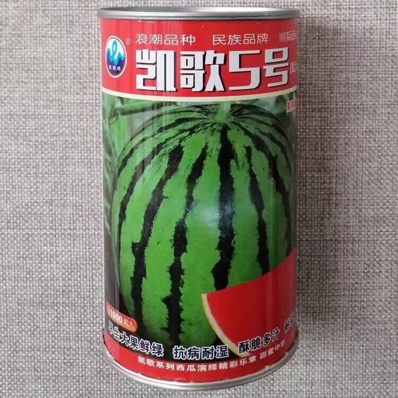 浪潮凯歌5号西瓜种子红大美都西瓜种籽酥脆多汁皮薄耐裂抗病