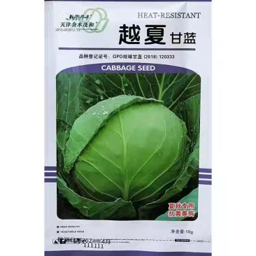 越夏耐热甘蓝种子夏秋露地甘兰包菜种籽高产抗病卷心菜种子