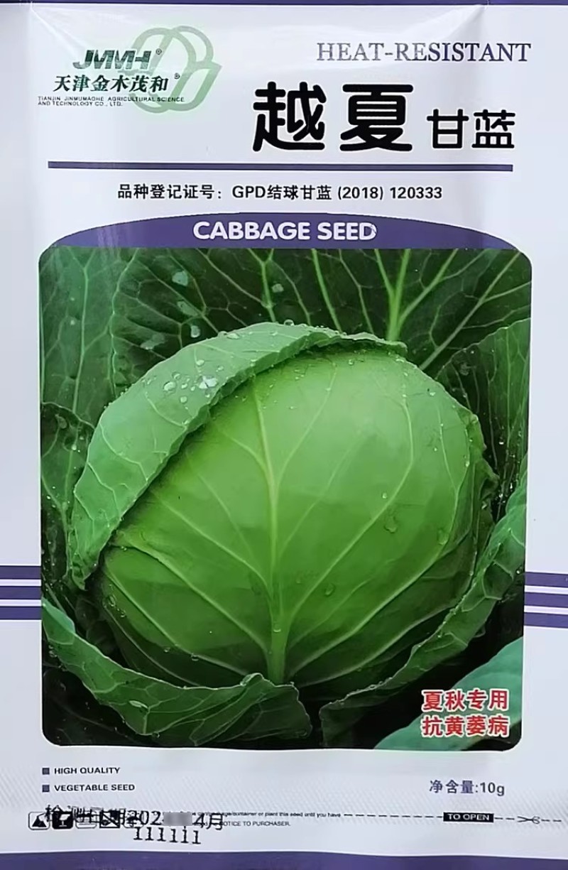 越夏耐热甘蓝种子夏秋露地甘兰包菜种籽高产抗病卷心菜种子