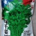 绿千金香菜种子美国铁杆大叶翠绿芫荽种籽耐热耐寒耐抽苔
