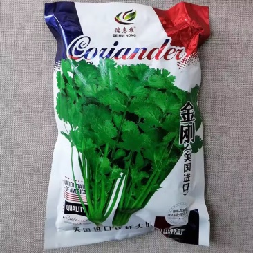 美国金刚香菜种子铁杆大叶翠绿芫荽种籽耐热耐寒耐抽苔