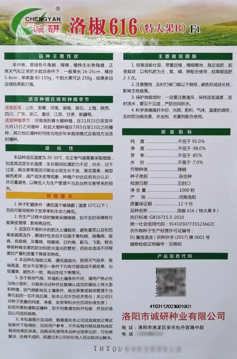洛椒616特大果辣椒种子早中熟翠绿色优质牛角椒种籽微辣