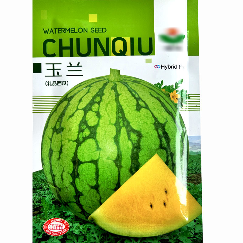黄壤西瓜种子玉兰小西瓜种子小西瓜籽礼品西瓜籽耐裂甜早熟