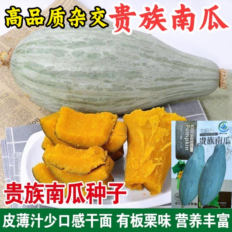 贵族南瓜种子杂交粉糯香甜板栗南瓜种籽四季庭院南瓜蔬菜种籽