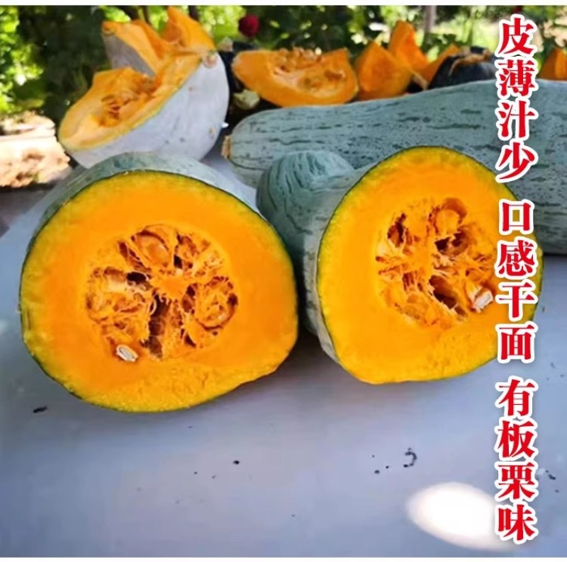 贵族南瓜种子杂交粉糯香甜板栗南瓜种籽四季庭院南瓜蔬菜种籽