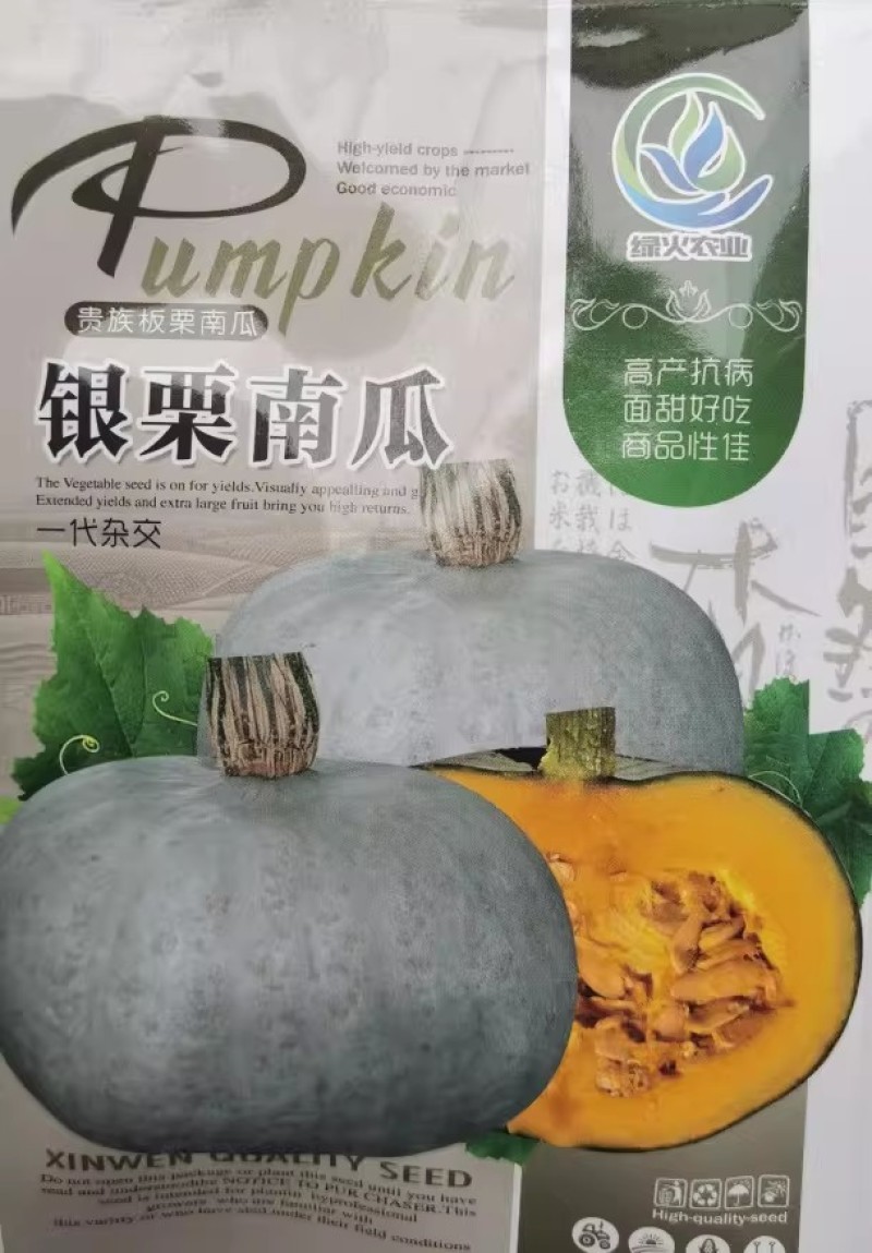 银栗南瓜种子香甜粉糯新疆贵族板栗南瓜白皮板栗味南瓜蔬菜种
