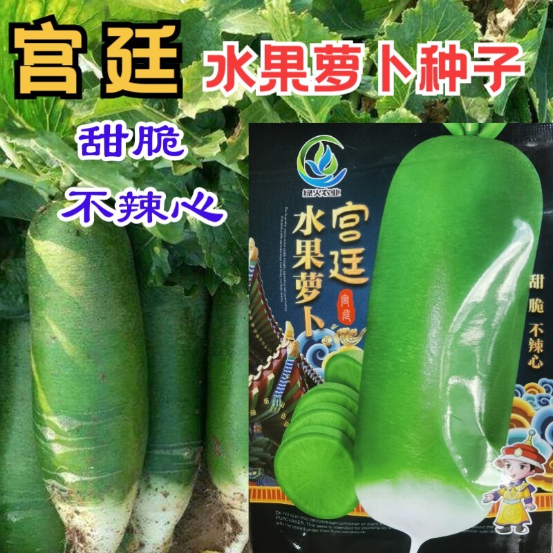 宫廷水果萝卜种子甜脆不辣心绿皮绿肉大青萝卜种子秋播蔬菜种