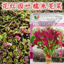 花红苋菜种子圆叶一点红苋菜籽春秋冬耐热耐寒四季播种蔬菜种