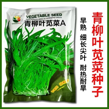 柳叶青苋菜种子耐热耐湿耐旱细叶尖叶青绿苋菜春夏秋蔬菜种子