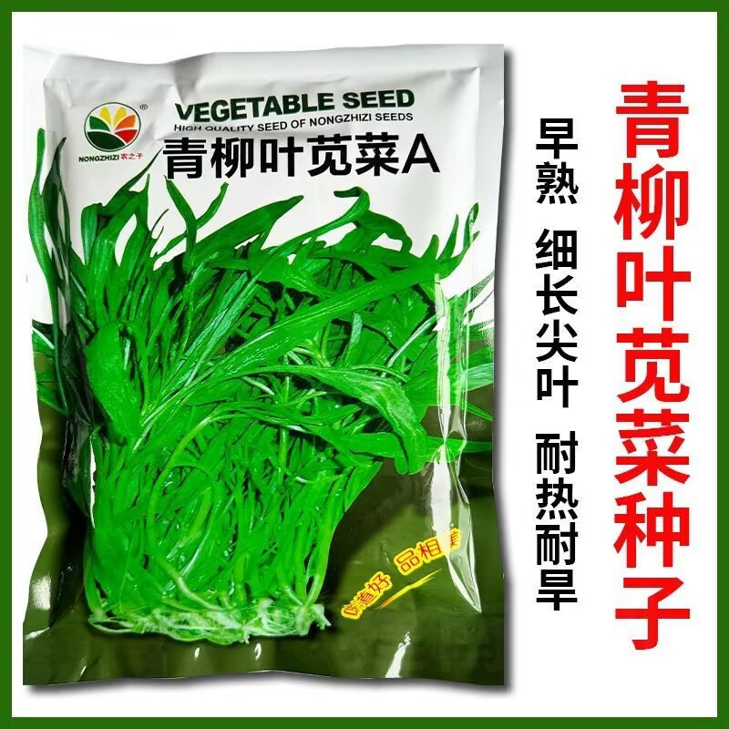 柳叶青苋菜种子耐热耐湿耐旱细叶尖叶青绿苋菜春夏秋蔬菜种子