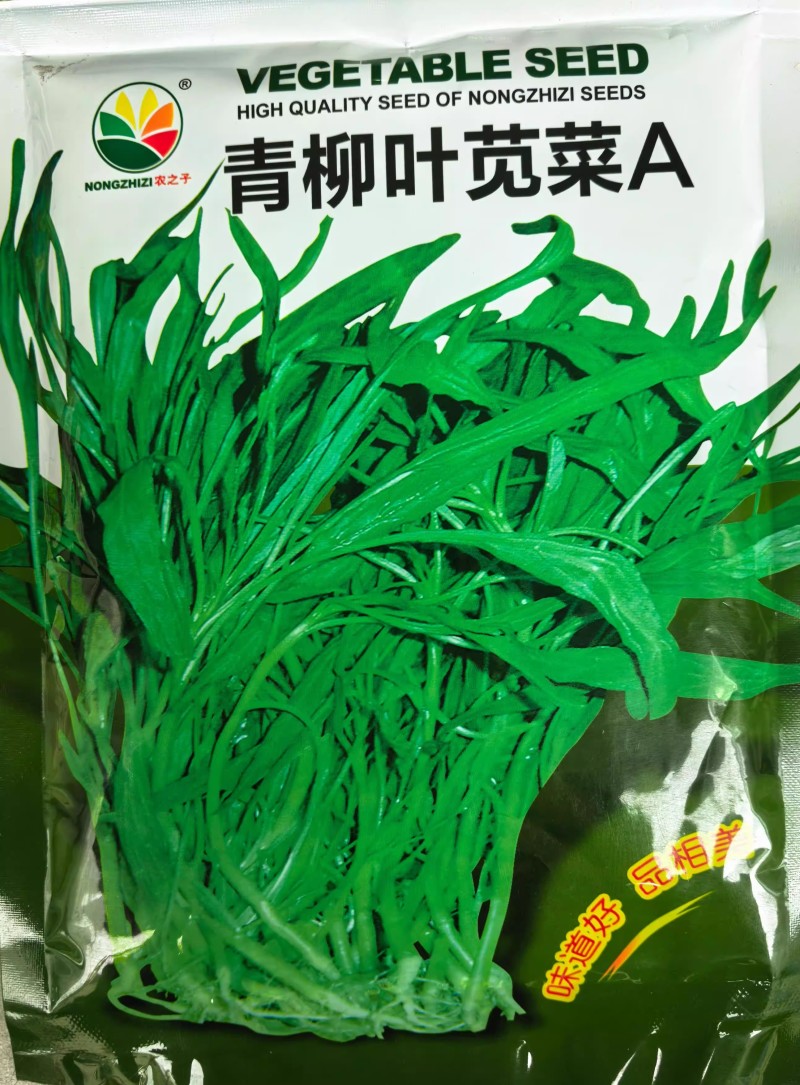 柳叶青苋菜种子耐热耐湿耐旱细叶尖叶青绿苋菜春夏秋蔬菜种子