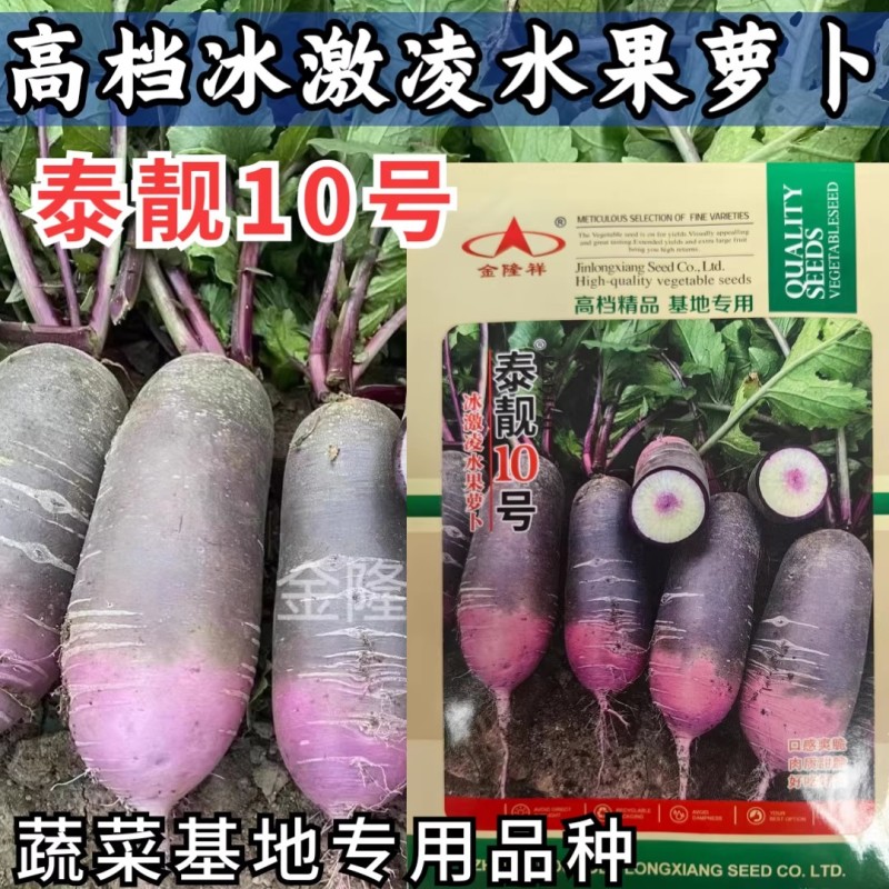 泰靓10号冰激凌萝卜种子杂交甜脆秋播紫皮冰淇淋水果萝卜种