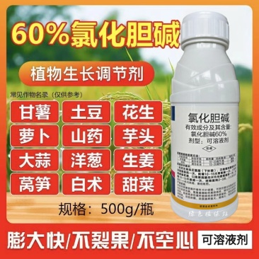 60%氯化胆碱植物生长调节剂花生马铃薯根茎膨大地下块茎膨