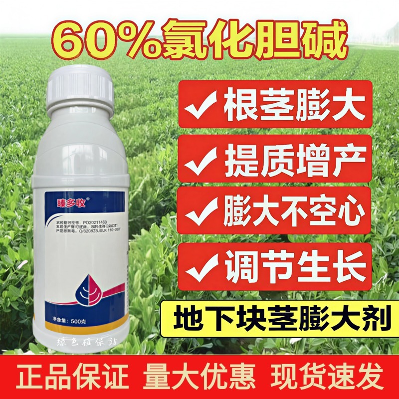 60%氯化胆碱植物生长调节剂花生马铃薯根茎膨大地下块茎膨