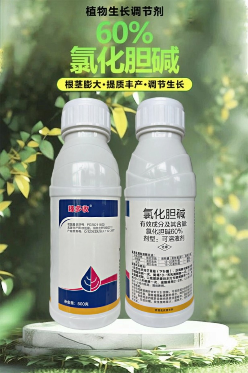 60%氯化胆碱地下块茎膨大剂花生马铃薯萝卜大蒜芋头生姜