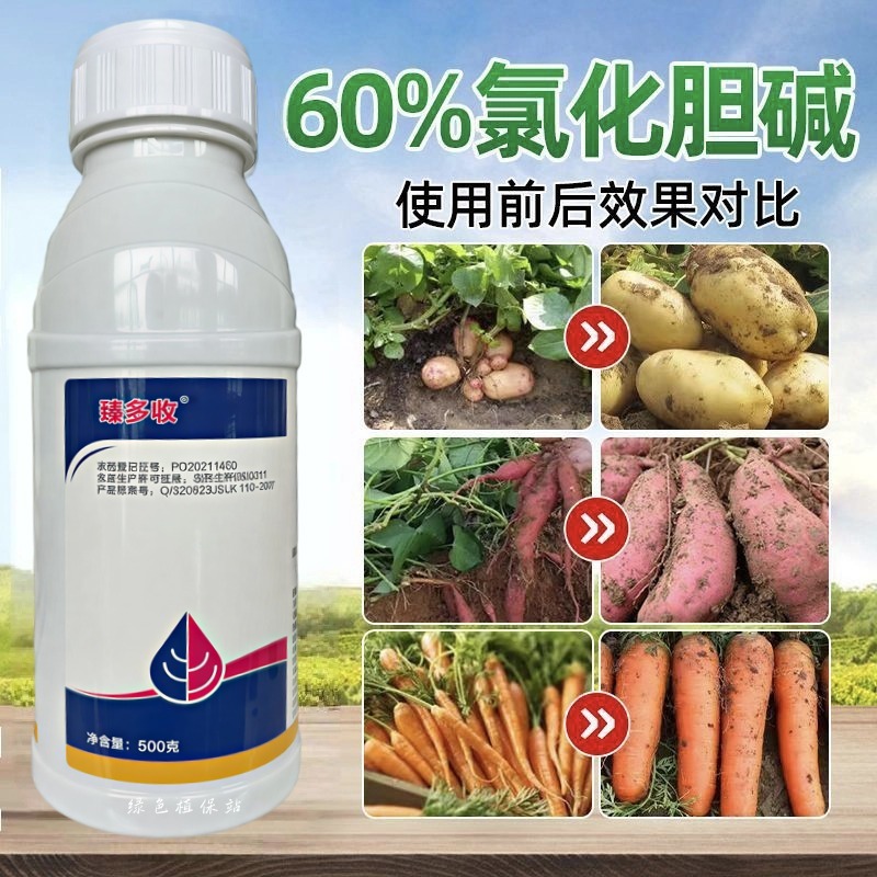 60%氯化胆碱地下块茎膨大剂花生马铃薯萝卜大蒜芋头生姜