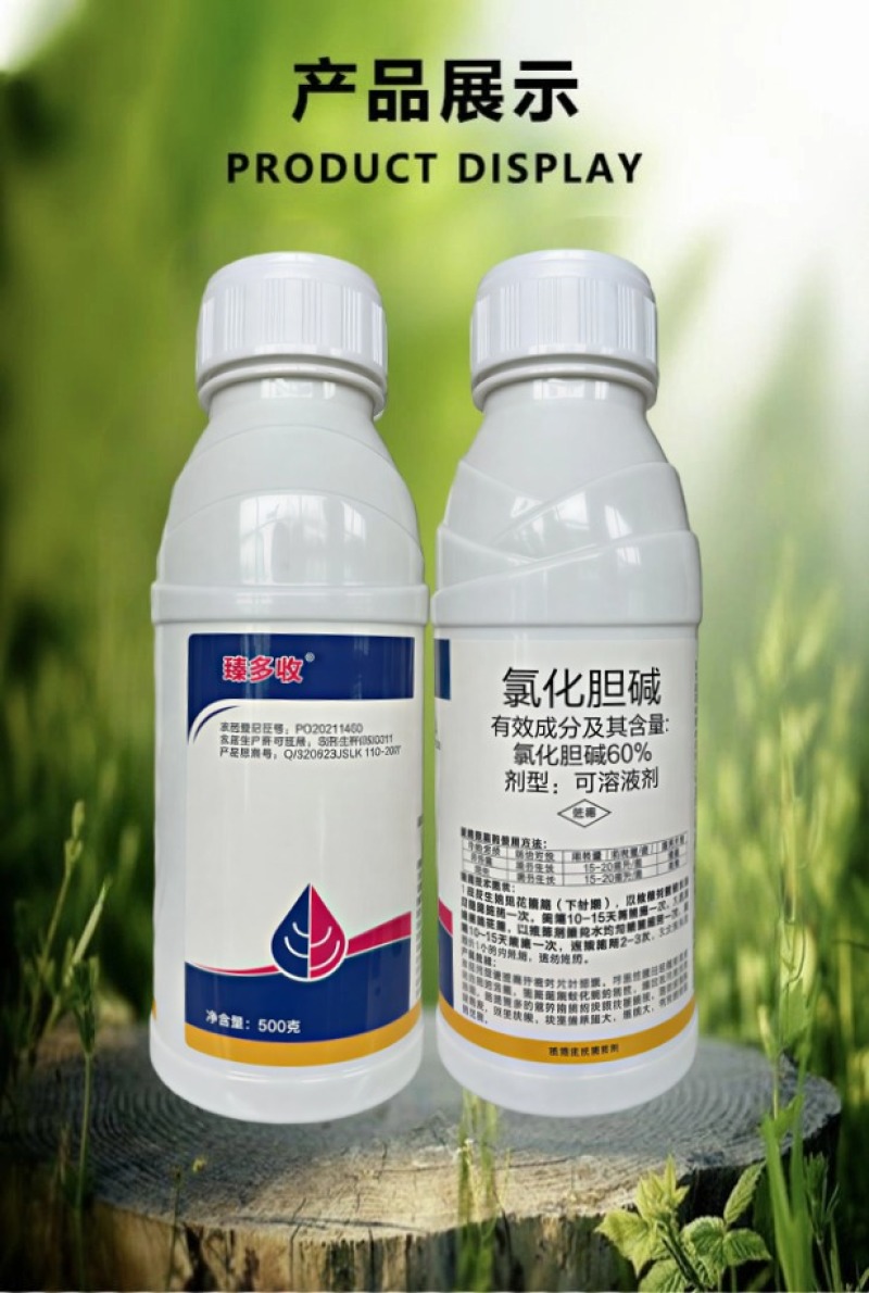 60%氯化胆碱地下块茎膨大剂花生马铃薯萝卜大蒜芋头生姜