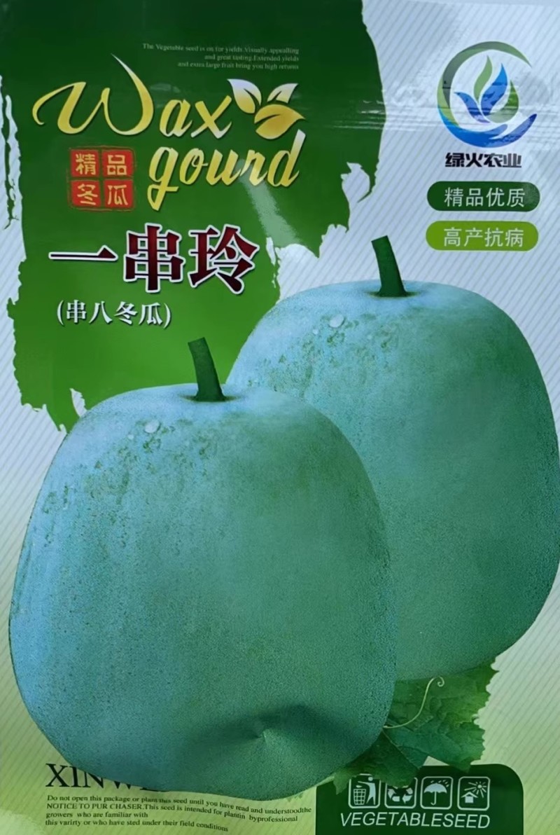 一串铃冬瓜种子粉白皮迷你小冬瓜种籽家庭庭院四季盆栽蔬菜种