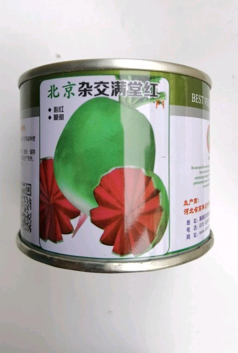 北京杂交满堂红萝卜种子心里美萝卜种子绿皮红心秋季水果萝卜