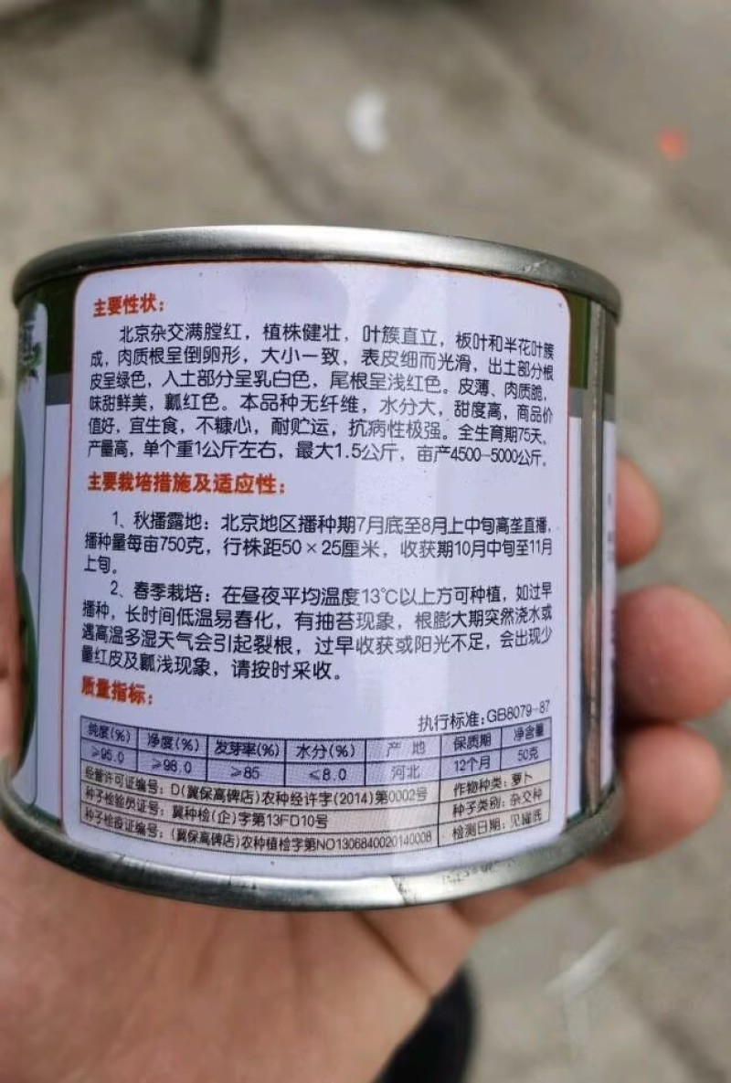 北京杂交满堂红萝卜种子心里美萝卜种子绿皮红心秋季水果萝卜