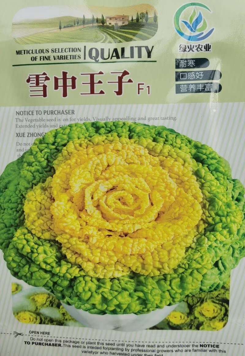 杂交黄心乌种子雪中王子黄心菜耐寒越冬乌塌菜黄心白菜蔬菜种